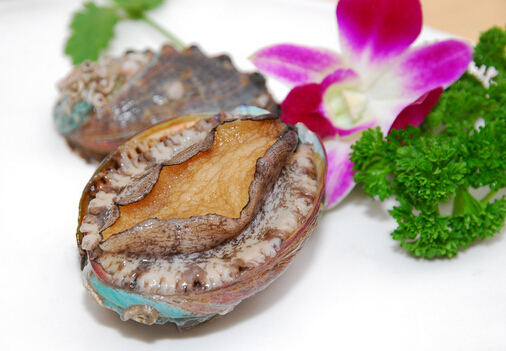 鮑魚如何挑選?鮑魚如何挑選