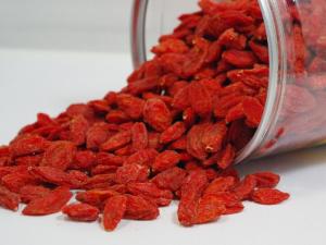 枸杞能提高性功能嗎？枸杞怎么吃壯陽？