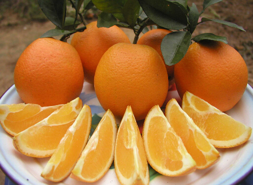 ԸٺȼtԷѳ