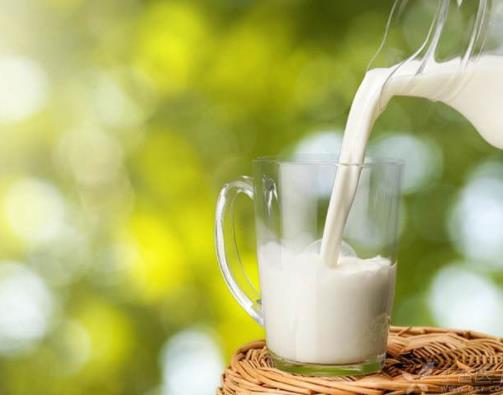 什么人不適合喝羊奶 喝羊奶有什么好處