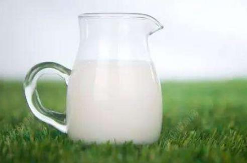 什么人不適合喝羊奶 喝羊奶有什么好處
