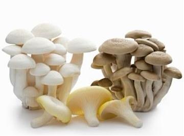 吃什么食物可以排毒?盤點食物中的清毒高手,菌類食物
