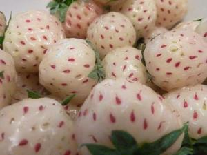菠蘿莓怎么吃？吃菠蘿莓的食用禁忌