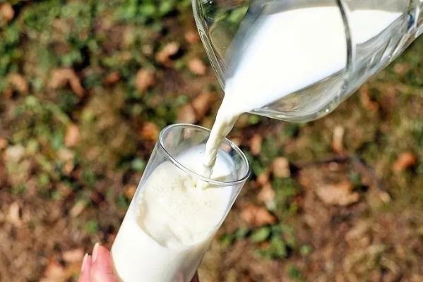 澳牧進口A2純牛奶 更利于人體吸收的高品質牛奶
