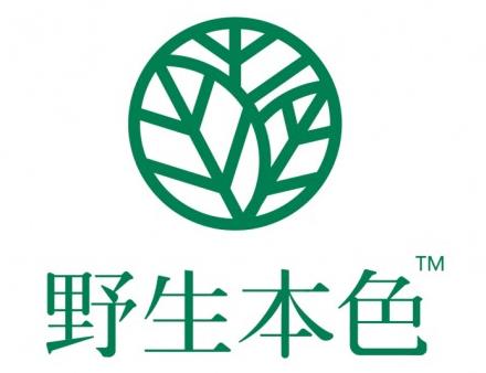 一款好森林木耳的營養價值到底有多大?