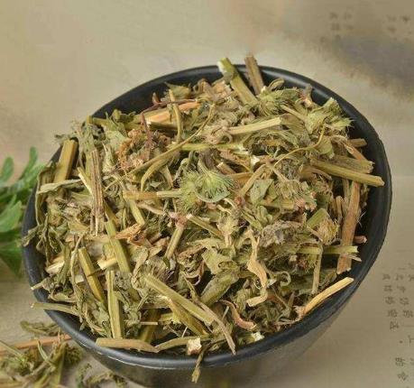 益母草一天喝幾次較好?益母草什么時候喝最好?