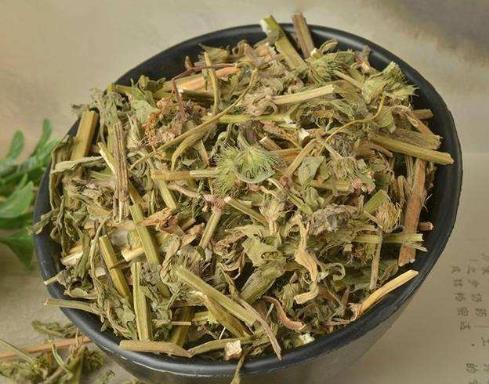 益母草一天喝幾次較好?益母草什么時候喝最好?