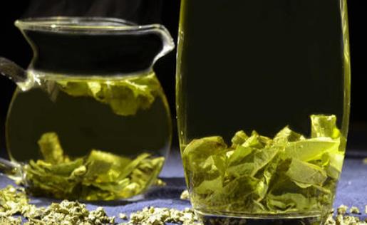 荷葉茶有哪些營養價值?荷葉茶有哪些副作用?