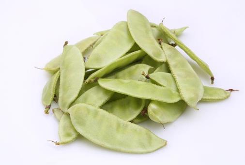 扁豆角沒熟是不是有毒?吃扁豆中毒幾天能好
