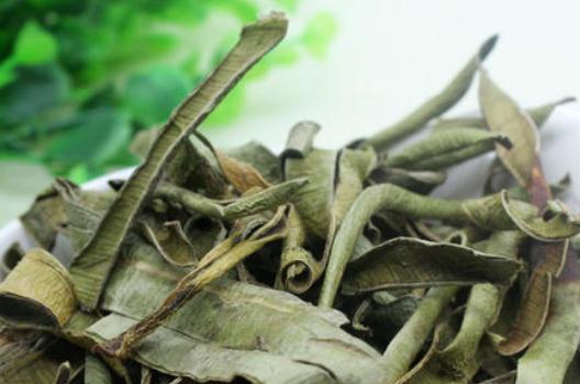 哪些人不宜喝蘆薈茶?蘆薈茶有哪些功效?