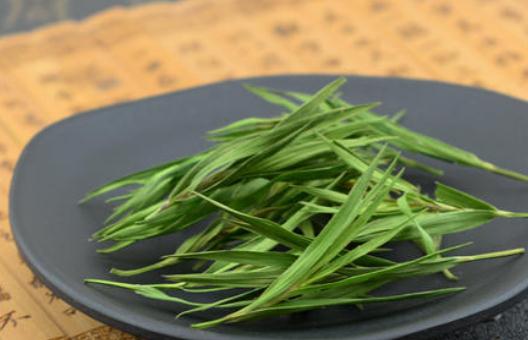 哪些人不宜喝石竹茶?石竹茶有哪些功效?