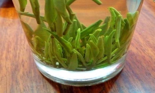 竹葉青茶是竹葉嗎?竹葉青茶可以減肥嗎?