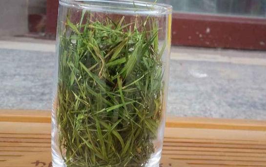 哪些人不宜喝石竹茶?石竹茶有哪些功效?