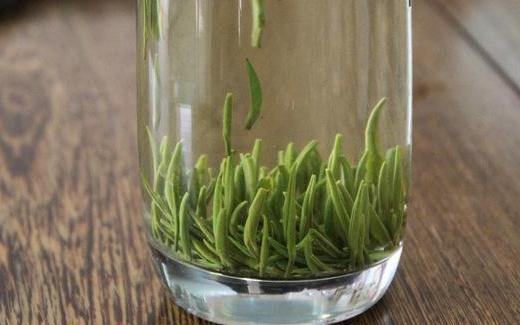 竹葉青茶是竹葉嗎?竹葉青茶可以減肥嗎?