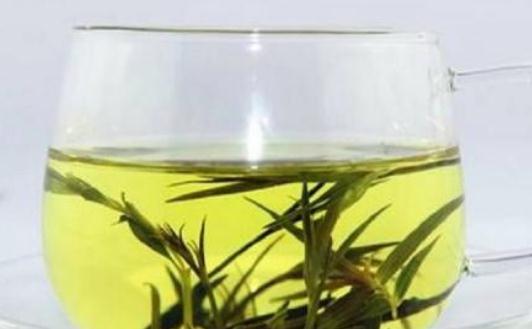 哪些人不宜喝石竹茶?石竹茶有哪些功效?