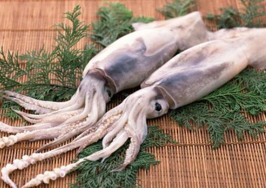 發黑的魷魚是不是不新鮮?活魷魚怎么保鮮?