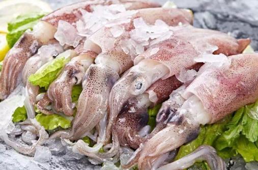 發黑的魷魚是不是不新鮮?活魷魚怎么保鮮?