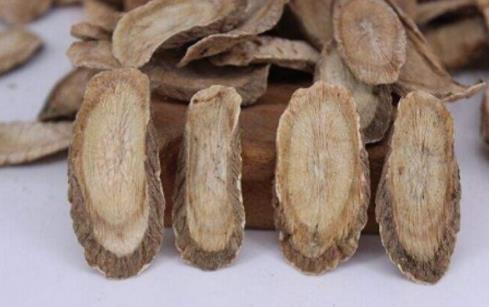 為什么說牛蒡根能減肥?吃牛蒡根要注意什么事項?