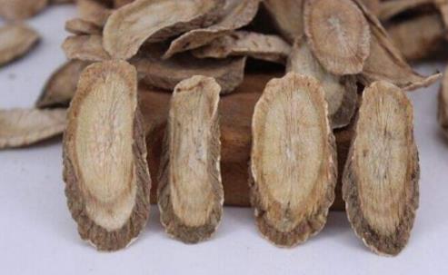 為什么說牛蒡根能減肥?吃牛蒡根要注意什么事項?