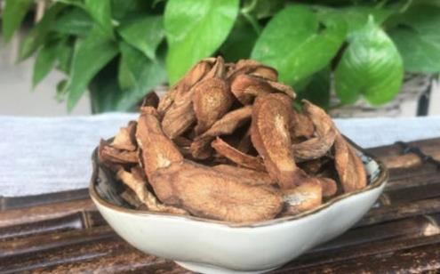 為什么說牛蒡根能減肥?吃牛蒡根要注意什么事項?