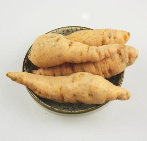 吃鮮地黃有什么好處?鮮地黃和生地黃有啥區(qū)別?