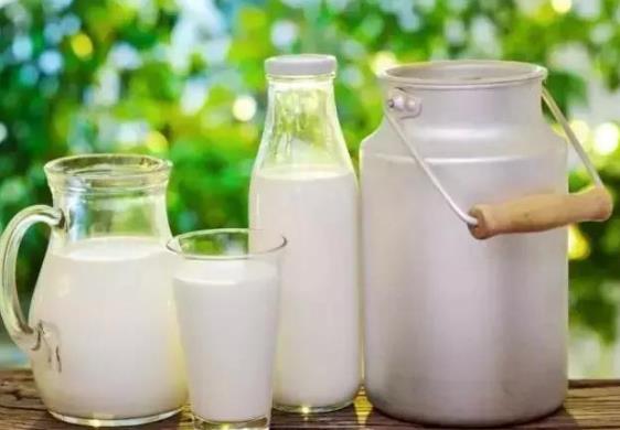 現(xiàn)擠的鮮牛奶能冷凍嗎?鮮牛奶可以做成酸奶嗎?
