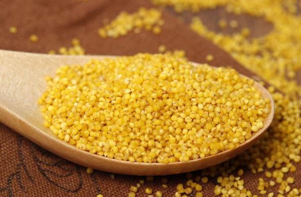 小米粥怎么做最養胃?小米粥可以減肥嗎?