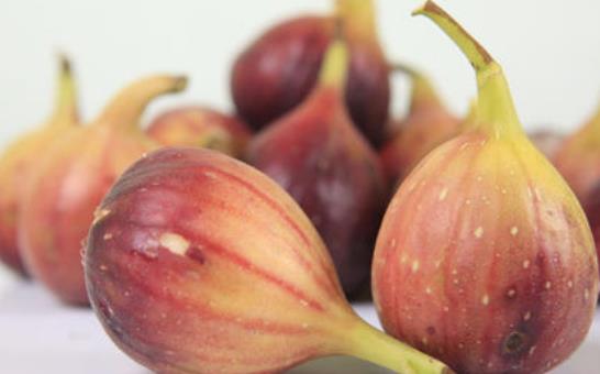 孕婦能吃無(wú)花果嗎?無(wú)花果有哪些藥用價(jià)值?
