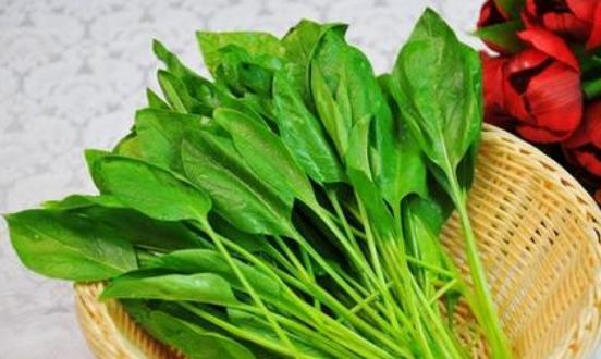 菠菜有哪些營(yíng)養(yǎng)價(jià)值?吃菠菜有哪些好處?