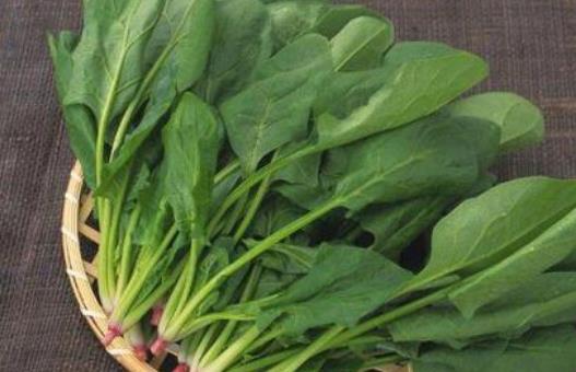 菠菜有哪些營(yíng)養(yǎng)價(jià)值?吃菠菜有哪些好處?