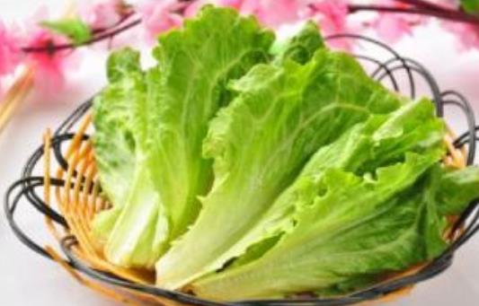 經(jīng)期可以吃生菜嗎?吃生菜有哪些好處?