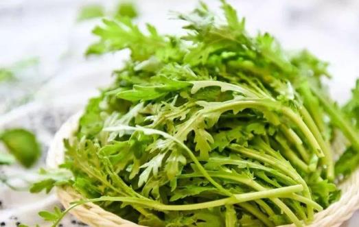 茼蒿有哪些營養價值?茼蒿有哪些功效?