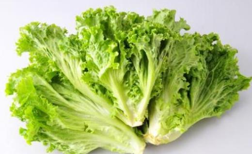 經(jīng)期可以吃生菜嗎?吃生菜有哪些好處?