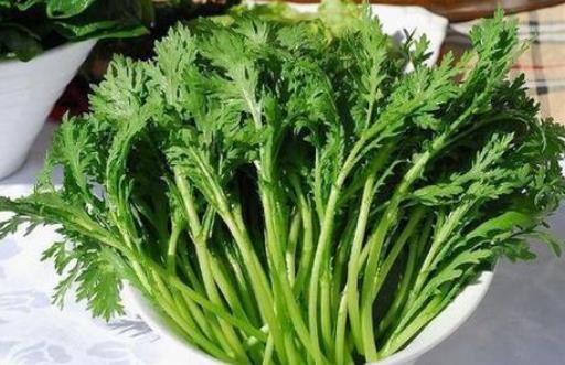 茼蒿有哪些營養價值?茼蒿有哪些功效?