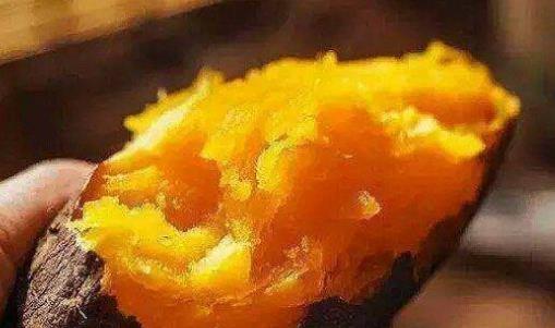 紅薯不能和柿子同吃是真的嗎?紅薯怎么吃最有營養?