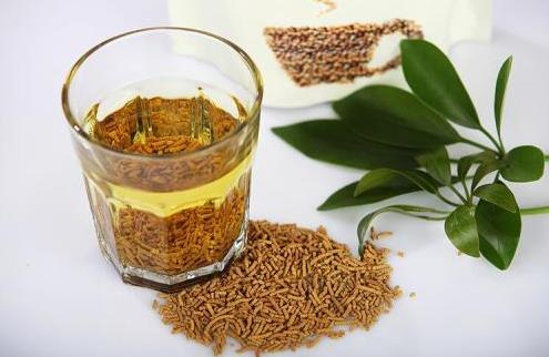 苦蕎和蕎麥有什么區別?晚上喝苦蕎茶會影響睡眠嗎?