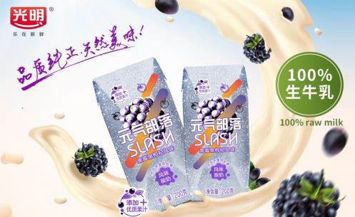 光明乳業新品“元氣部落slash風味酸奶”怎么加盟?