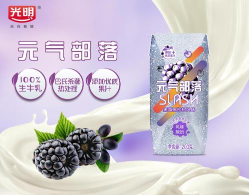 光明乳業新品“元氣部落slash風味酸奶”怎么加盟?