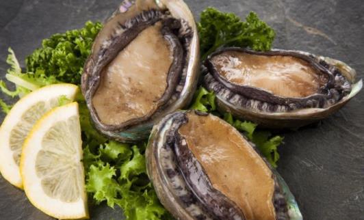 糖尿病患者可以吃鮑魚嗎?鮑魚有哪些功效?