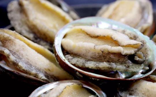 糖尿病患者可以吃鮑魚嗎?鮑魚有哪些功效?