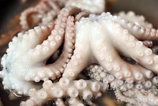孕婦可以吃魷魚嗎?經期可以吃魷魚嗎?