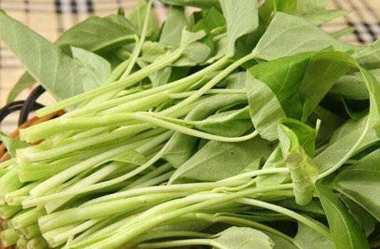 吃空心菜會影響鈣的吸收嗎?空心菜炒出來為什么會發黑?