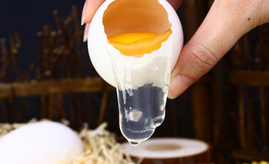 鵝蛋為什么有一種難聞的味道 鵝蛋腥味怎么那么重
