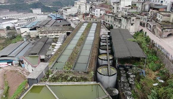 尋覓醬酒百年傳承 鄭氏酒業“一酒獨秀”