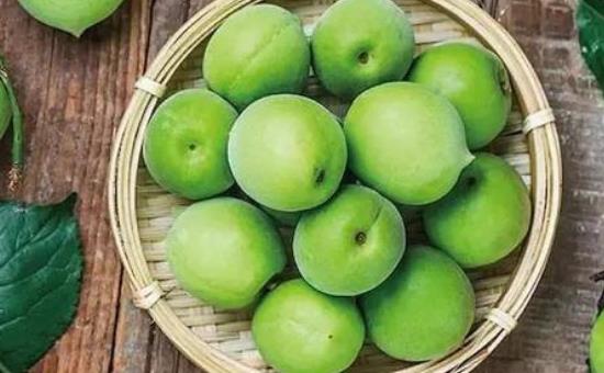 經(jīng)期可以吃青梅嗎?青梅怎么吃?
