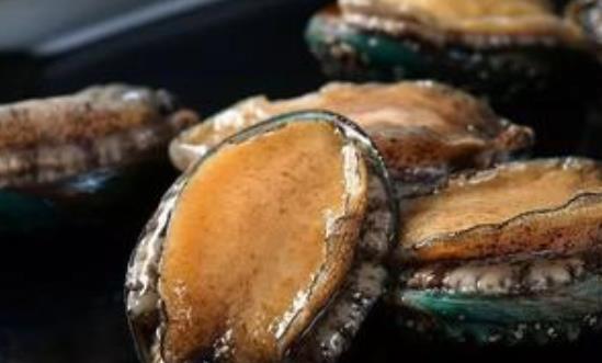 吃鮑魚(yú)為什么會(huì)上火?什么鮑魚(yú)最好?