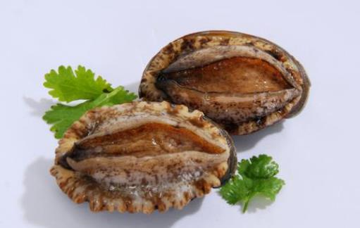 鮑魚有毒嗎?鮑魚在冰箱里可以保存多久?