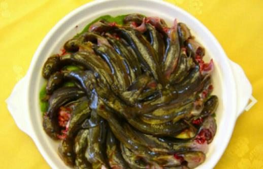 孕婦可以吃七星魚嗎?吃七星魚有哪些營(yíng)養(yǎng)價(jià)值?
