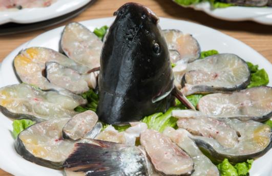 黑魚籽可以吃嗎?吃黑魚對(duì)傷口愈合有好處嗎?