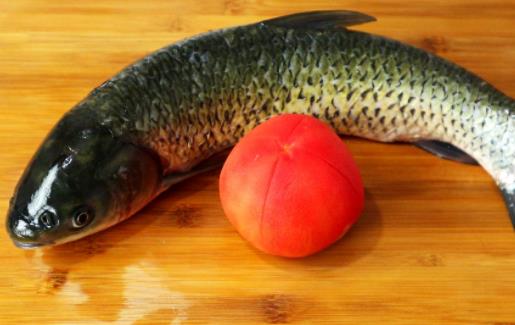 經期可以吃草魚嗎?吃草魚可以吃柿子嗎?